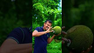 Download lagu natural chewing gum mp3