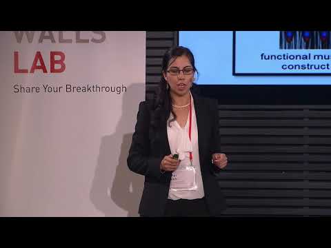 Falling Walls Lab 2015 - Sahar Salehi - Breaking the Wall of In Situ Tissue Engineering
