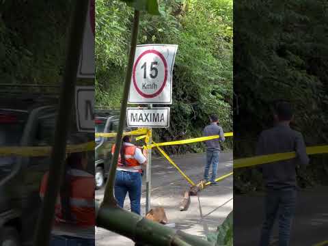 Distrito de Perquin y San Fernando