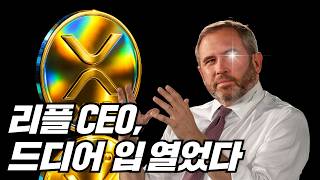  리플 CEO, 입 드디여 얼었네