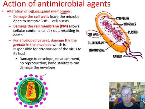 Ch 9 Control microbes I Overview Su 20