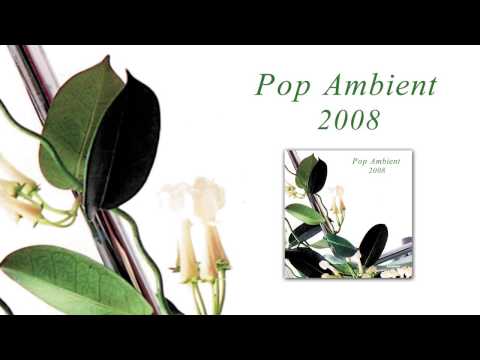 Markus Guentner - Sparks 'Pop Ambient 2008' Album