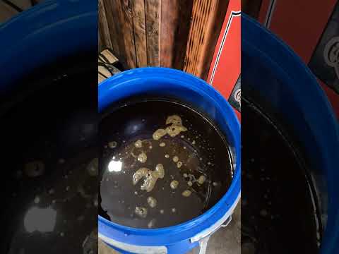 Hausgemachten Rum herstellen #shorts #rum #moonshine