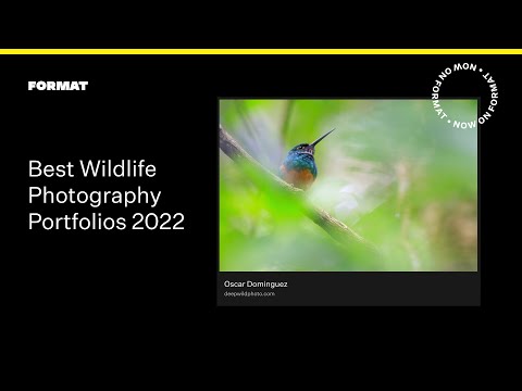 The Best Wildlife Photography Portfolios of 2022