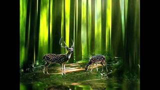 Westlife   -   I Need You