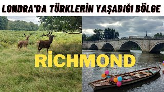 Londra'da Türklerin Yoğun Yaşadığı Yer Richmond ve Geyikli Richmond Park
