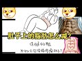肚子上的脂肪怎么减
