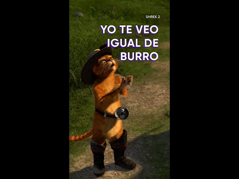 Yo te veo igual de burro | HBO Max | #Shorts