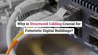 Why is Structured Cabling Crucial for Futuristic Digital Buildings?