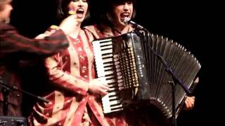 Evelyn Evelyn - Elephant Elephant