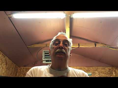 Blues Creek Guitars - New Product - Leadbelly Mold, Bending form and Halo Patterns