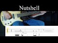 Nutshell (Alice in Chains) - Bass Cover (With Tabs) by Leo Düzey