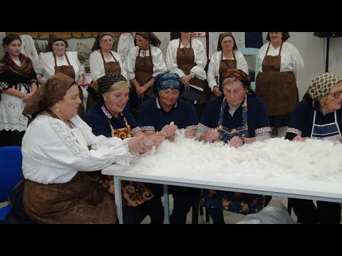 Zdenačko čijalo 22.11.2025.