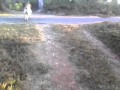 My Dog At My Home Coorg