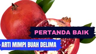 Download lagu Arti Mimpi Buah Delima, Benarkah Sebuah Pertanda Baik? | Nurul Aulia mp3 Download lagu Arti Mimpi Buah Delima, Benarkah Sebuah Pertanda Baik? | Nurul Aulia mp3