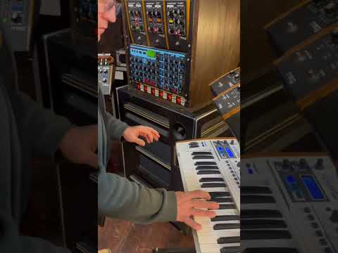 🌞This is the sound ! Moog Moogerfooger MF-102 Ring Modulator #2 image 17