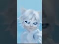 Cat Blanc