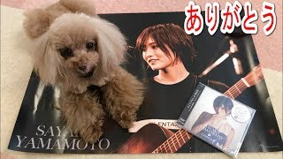 【情報実況】1stシングル「イチリンソウ」発売おめでとう！！4月17日