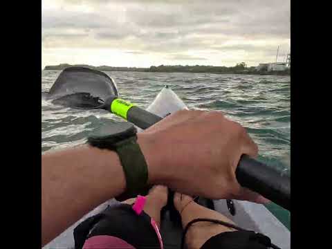 Morning paddle #surfski #kayak #newzealand