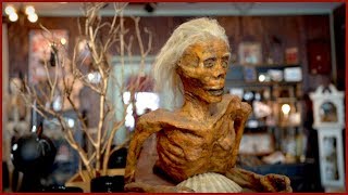 Bearded Lady Vintage &amp; Oddities