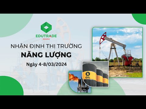 Nhận định thị trường hằng ngày