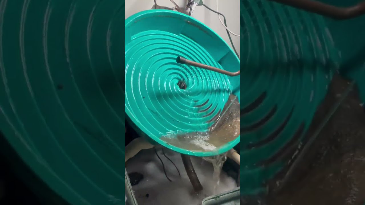 Processing concentrates through the Gold Spiral Wheel