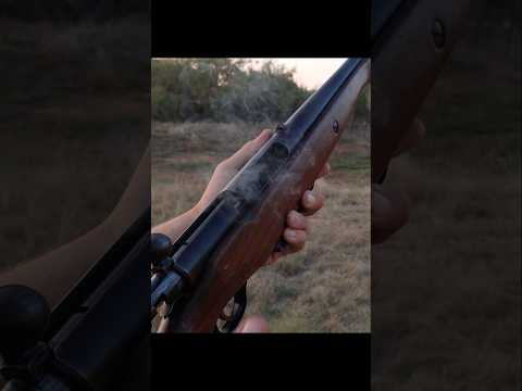 Intro to Mossberg 500