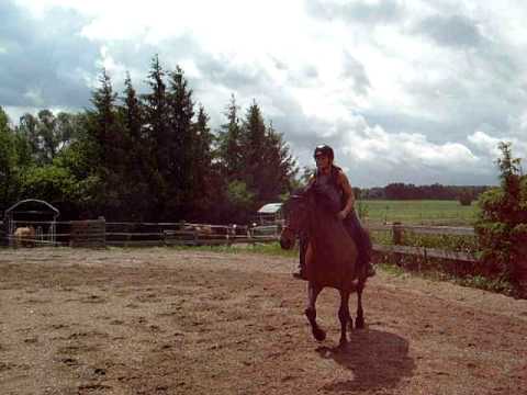 1 Kreuz aus dem Trab