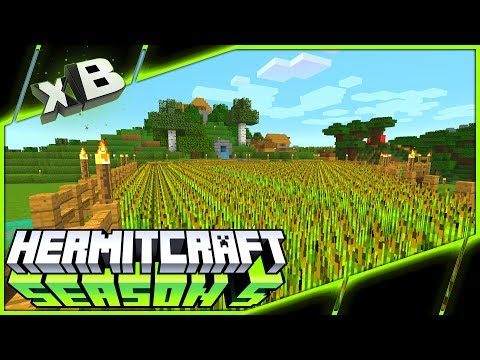 Fields of Gold! :: HermitCraft Season 5 :: Ep 93
