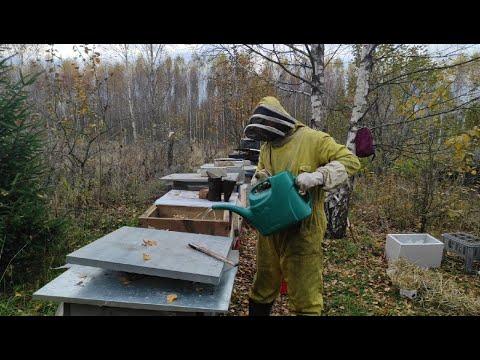 Пчеловодство.Поздняя закормка пчёл сиропом по американской системе в зиму. #Пчеловодство #Сироп