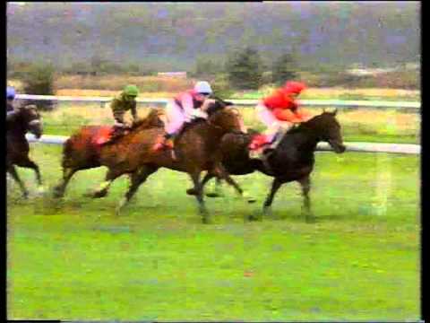 1988 St Leger