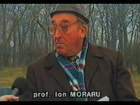 Despre călători străini prin Teleorman cu prof. ION MORARU