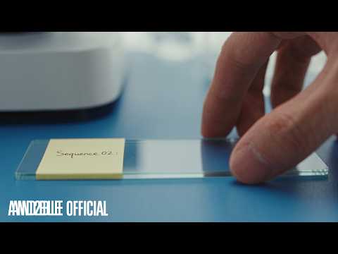 Sequence 02: Attraction | Highlight Medley | AND2BLE (앤더블)