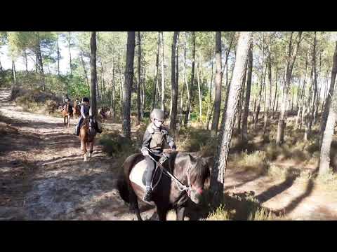 17/10/20 extrait 2 de la partie balade de la séance de mes jeunes cavalières en herbe