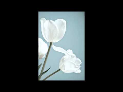 Brandon Sturiale - Forgiveness