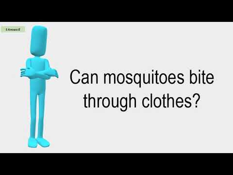 YouTube video about: Can mosquitos bite through clothes?