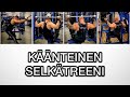 KÄÄNTEINEN SELKÄTREENI | MIKA NYYSSÖLÄ