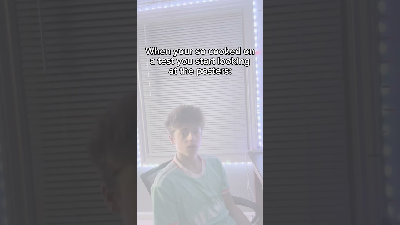 The posters don’t do anything #hawktuah #icecreammachine #funny #cheetahking