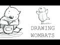 Drawing Wombats