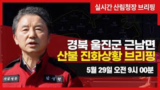 #경북 울진군 근남면 산불 진화상황 브리핑(5월 29일  오전 9시 00분)