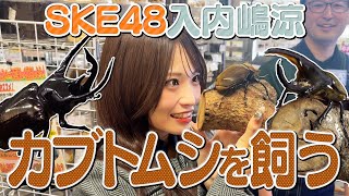 SKE48 入内嶋涼 の出演動画「【ご家族迎え入れ】SKE48入内嶋涼 カブトムシを飼う」のサムネイル画像
