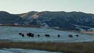 preview picture of video 'Landscapes in Sheridan, WY'