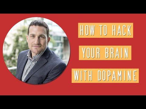 How to Hack your Brain with Dopamine | Dr. Andrew Huberman