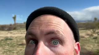 Talking Kind – “Damn Shame”