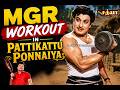 Mgr MGR Workout In Pattikattu Ponnaiya Mgrstatus Trending Mgrmovies Mgrsongs