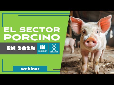 Fotograma del vídeo: El sector porcino en 2024