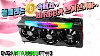 퀘이사존