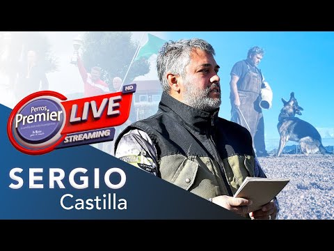 SERGIO CASTILLA | Dog Trainer