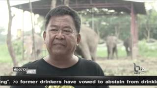 ห้องข่าวNBT รู้จักวังช้างอยุธยา แล เพนียด ผู้คืนศักดิ์ศรี 