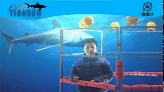 DIA 2 Expo Tiburon107